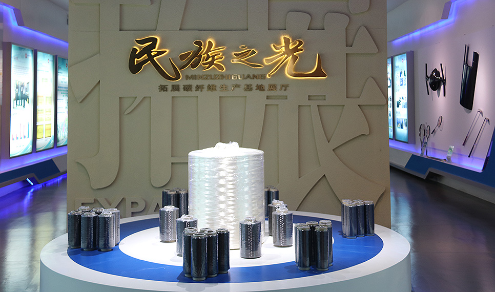 乐虎游戏官网碳纤维展厅.jpg